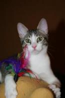 MILTON