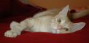 CASPER