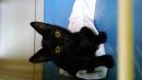 Blacky