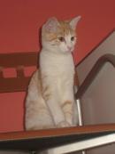 FILIP
