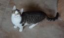 IGLY