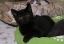BLACKY