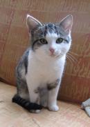 TINKA
